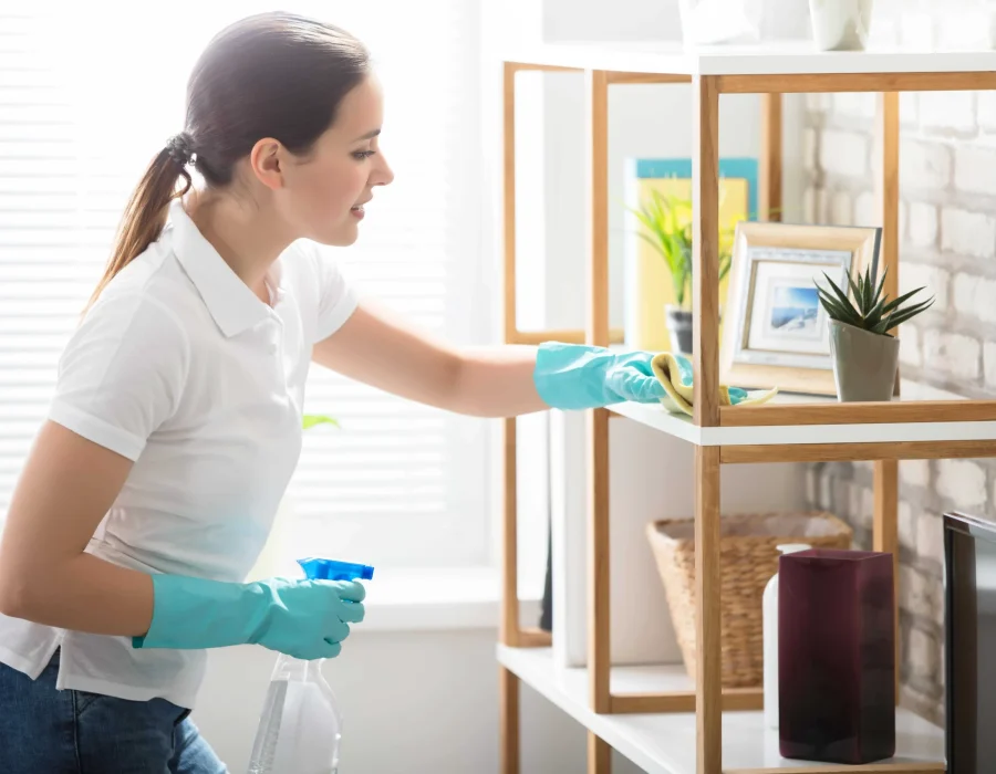 Spring Cleaning Services